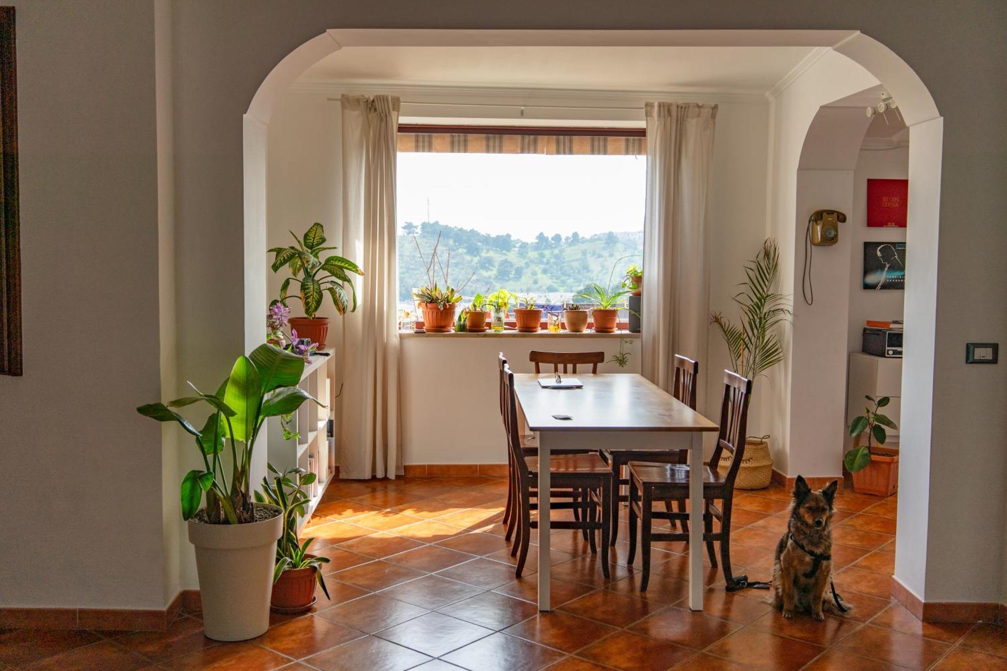 Coliving Together Gargano Vieste Bagian luar foto